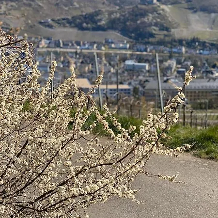Das Kleine Stadthaus Verbandsgemeinde Verbandsgemeinde Bernkastel-Kues Buitenkant foto